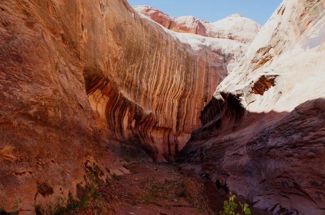 Halls Creek Narrows, early on