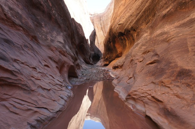 Relatively clear pool issuing a reflection of the canyon walls, Halls Creek Narrows, Capitol Reef National Park