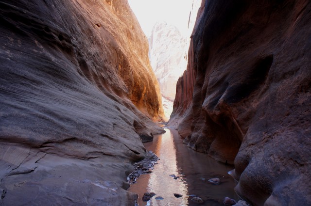 Halls Creek Narrows, Capitol Reef National Park, March 2015