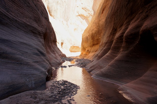 Fluted narrows in Halls Creek Narrows, Capitol Reef National Park