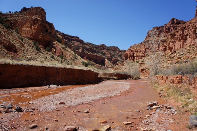 Looking upstream at the confluence with Sulphur Creek