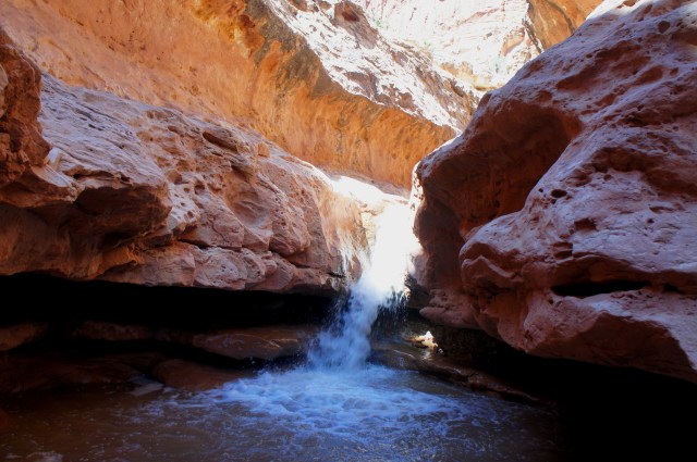Below the first waterfall, Sulphur Creek route, Capitol Reef National Park