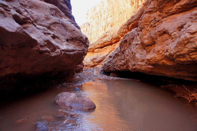 Sulphur Creek route, Capitol Reef National Park, April 2015