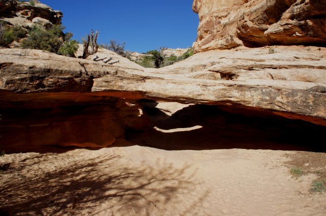 Nels Johnson Bridge, along the Hickman Bridge Trail, Capitol Reef National Park