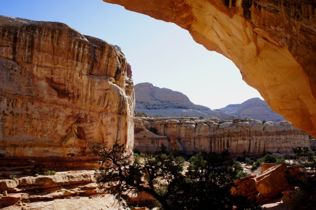 Hickman Bridge Trail, Capitol Reef National Park, April 2015