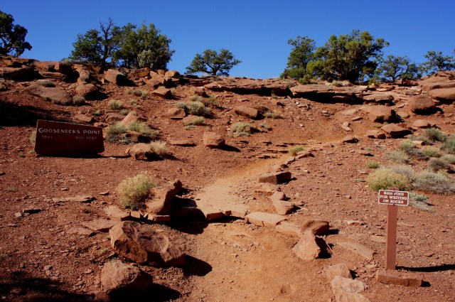 Goosenecks Trail from the parking area, Capitol Reef National Park