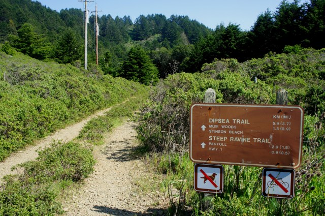 Access to Dipsea Trail and Steep Ravine Trail from the White Gate Trailhead, Mount Tamalpais State Park