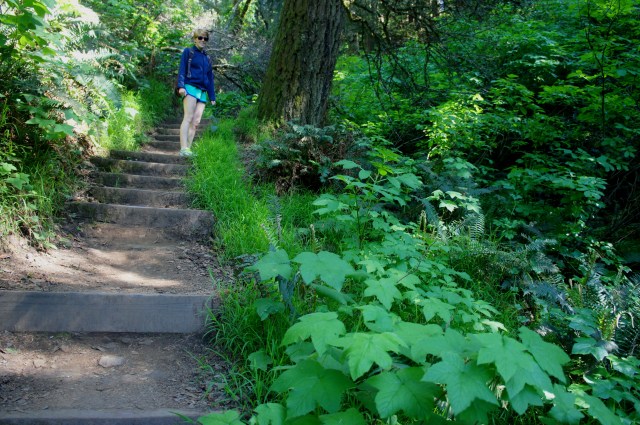 Ascending the stairs on the Dipsea Trail
