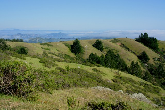 Gulch at Lone Tree Creek, with foggy views of Tiburon, Angel Island, and the San Francisco Bay beyond