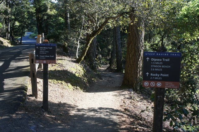 Start of the Steep Ravine Trail at Pantoll, Mount Tamalpais State Park