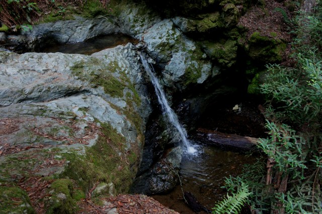 Minor waterfall on Webb Creek in Steep Ravine, Mount Tamalpais State Park