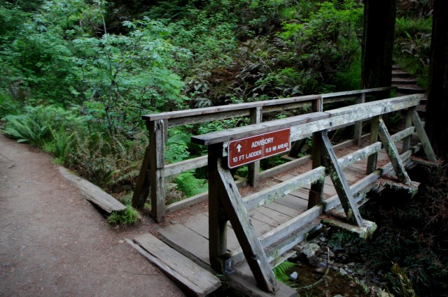 Bridge at the junction of the Steep Ravine and Dipsea Trails, Mount Tamalpais State Park
