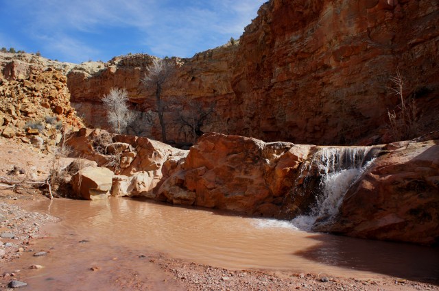 Waterfall in Oak Creek Canyon