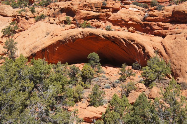 Alcove in the Wingate sandstone, Oak Creek Canyon