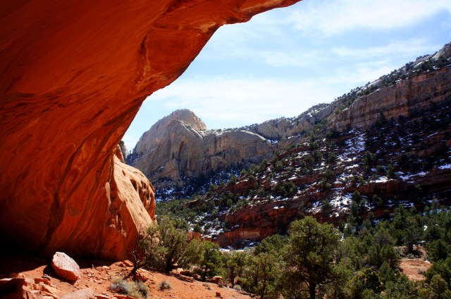 View from the alcove in Oak Creek Canyon