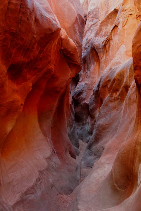 Dry Fork Narrows in Grand Staircase-Escalante National Monument