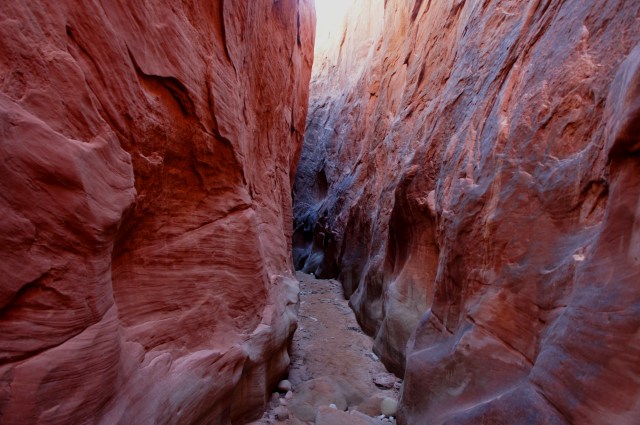 Entering the Dry Fork Narrows
