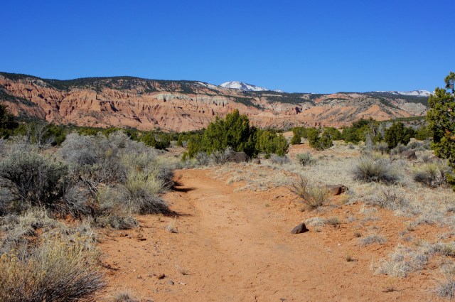 On the trail to Morrell Cabin, Cathedral Valley, Capitol Reef National Park