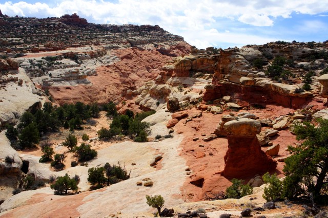 Cohab Canyon, Capitol Reef National Park, March 2015