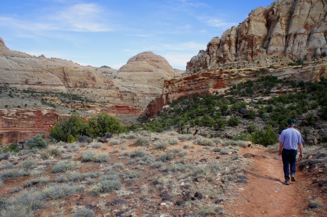 Edging down toward Hickman Bridge Trailhead, with Capitol Dome in the distance