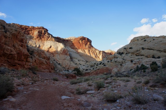Continuing down Capitol Gorge, as the Page and Carmel emerge