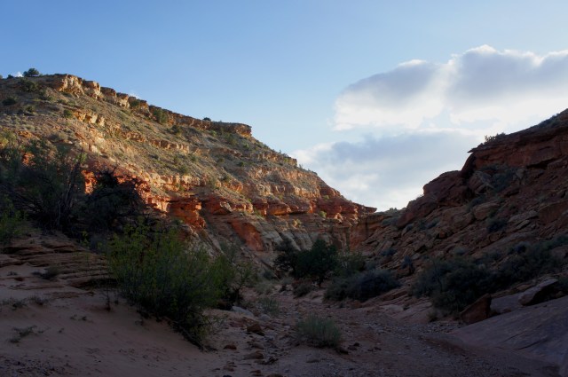 Looking back west at Capitol Gorge