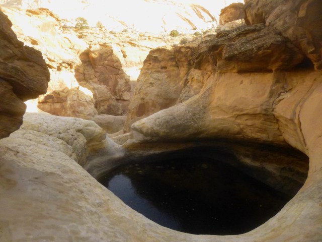 The Tanks, much fuller than above, as of December 2014, Capitol Reef National Park