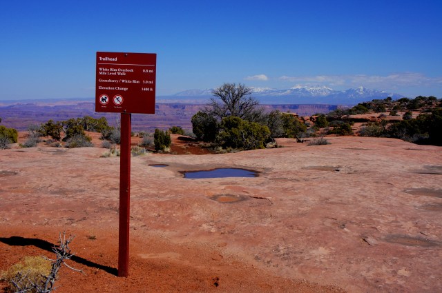 White Rim Overlook Trailhead, Island in the Sky, Canyonlands National Park