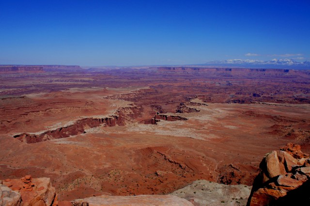 View north from White Rim Overlook: Gooseberry Canyon and the Colorado River beyond