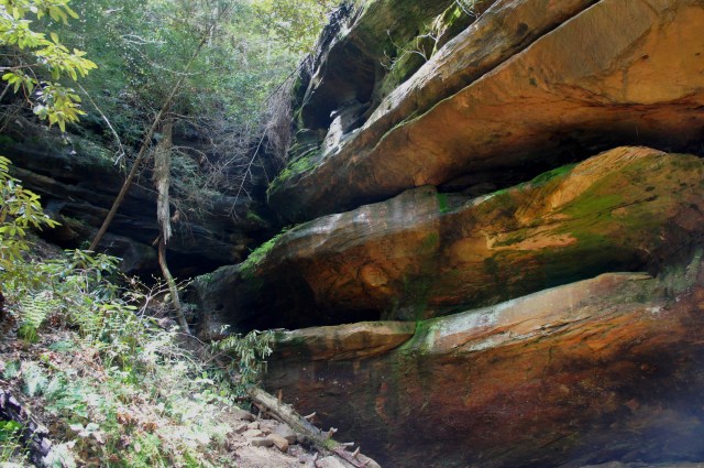 "Rock House" overhang, along the Rock Bridge Trail