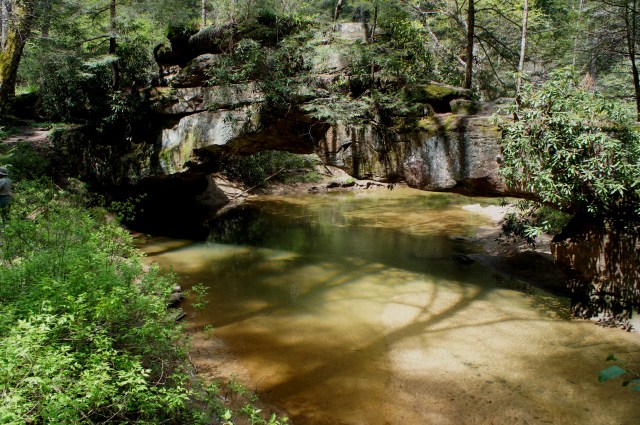 Rock Bridge, Red River Gorge Geological Area, Daniel Boone National Forest, April 2015
