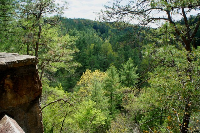 Partially obstructed view from the Rock Bridge Trail