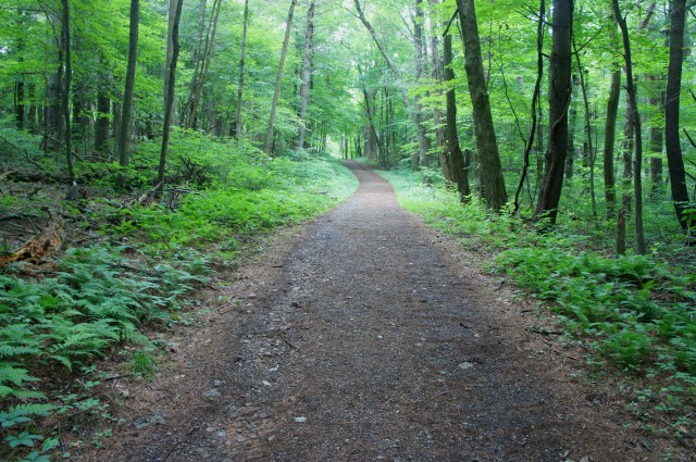 Keyser Run Fire Road