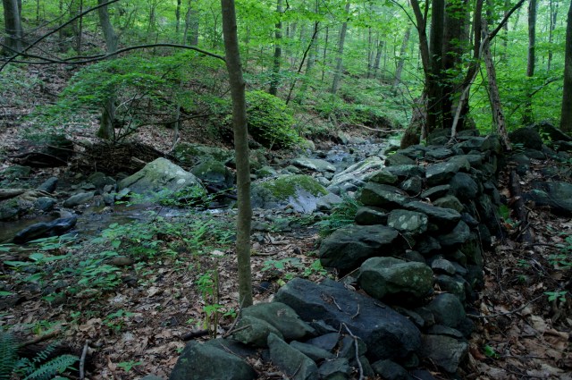 Stone walls paralleling Keyser Run