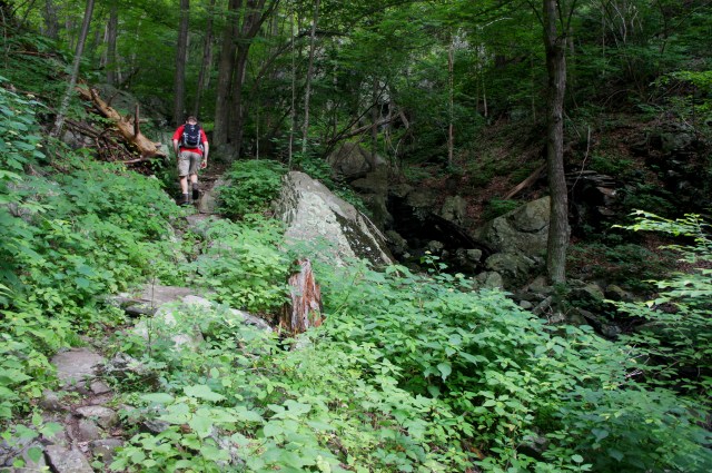 Climbing into the gorge