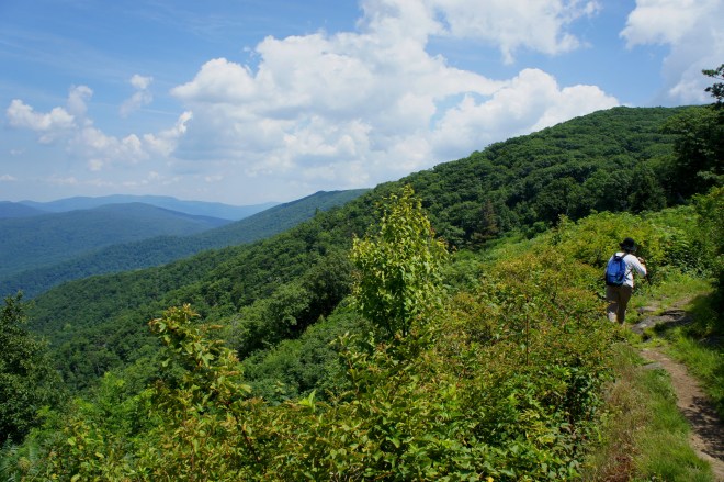 Open space just past Jewel Hollow Overlook, en route to The Pinnacle and Marys Rock, Shenandoah National Park