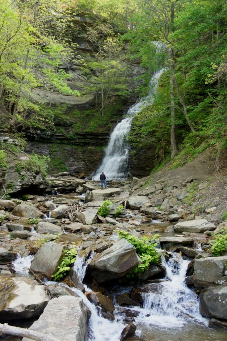 Cathedral Falls from the parking area