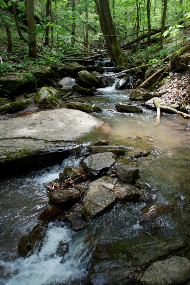 Big Branch at the first crossing