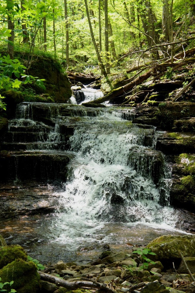 Big Branch Trail, New River Gorge National Scenic River, April 2015