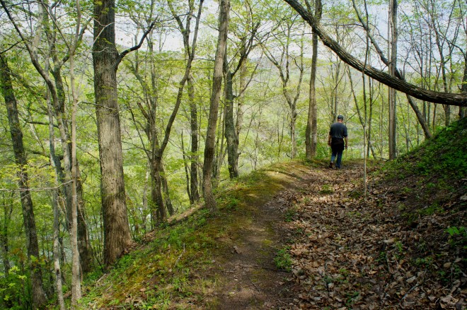 Descending from the ridge along the Big Branch Trail