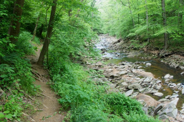 Potomac Heritage Trail parallels Pimmitt Run near Fort Marcy Park