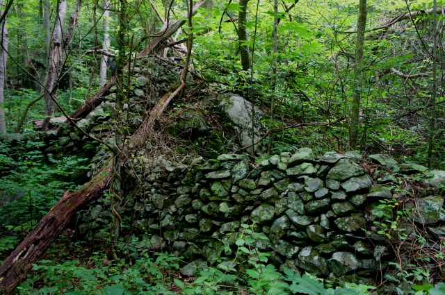 Remains of old stone house along Thornton River Trail