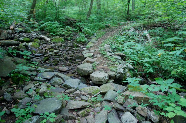 Well-crafted crossing of a flowing drainage along the Hazel River Trail