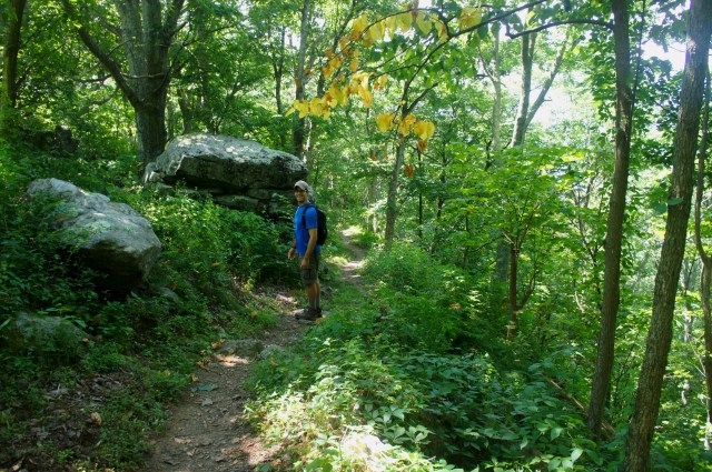 Along the Appalachian Trail