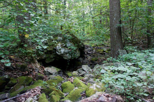 Crossing Rose River on the Skyland-Big Meadows Horse Trail
