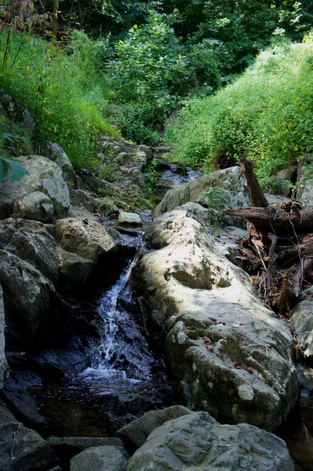 Wisteria Run along the Potomac Heritage Trail, Turkey Run Park