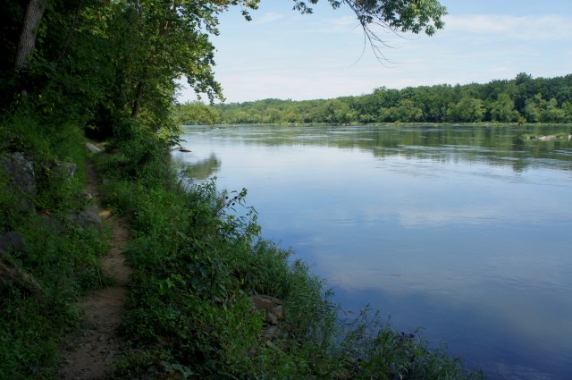 Potomac Heritage Trail, Turkey Run Park, August 2015