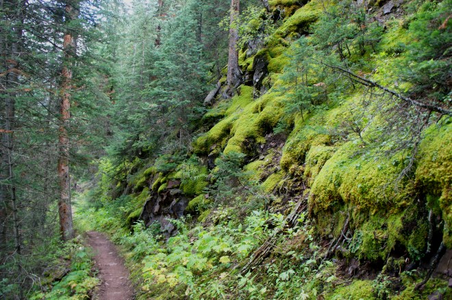 Mossy slopes along the Maroon Creek Trail