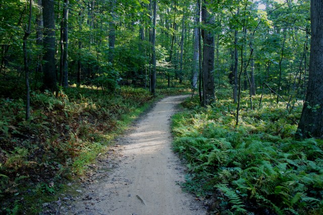 Rails to River Trail, Lake Fairfax Park, September 2015