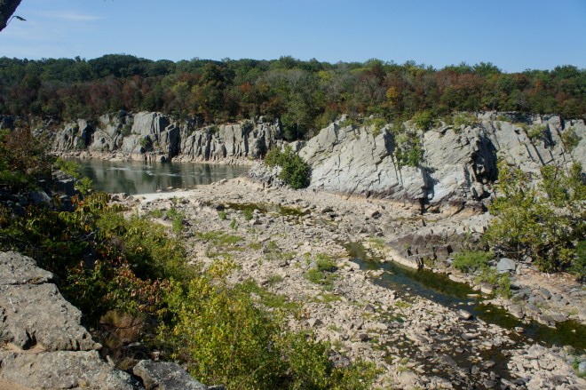 Potomac River and "Back Channel", near the end of the Billy Goat Trail